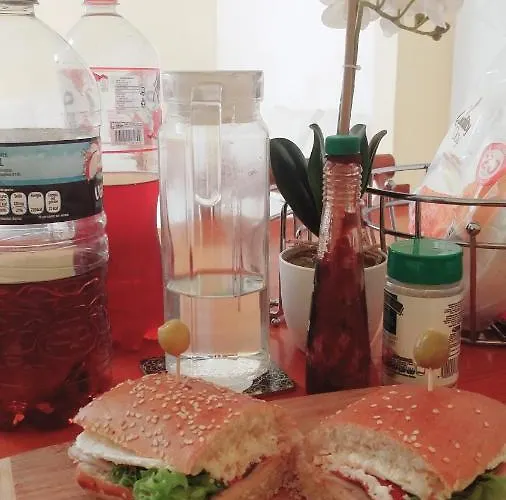 Maktub Only Girls & Breakfast Exclusivo Para Damas Pet Friendly Mexico City